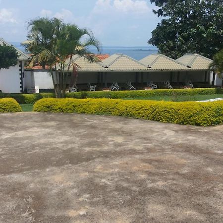 Victoria Panorama Hotel 金贾 外观 照片