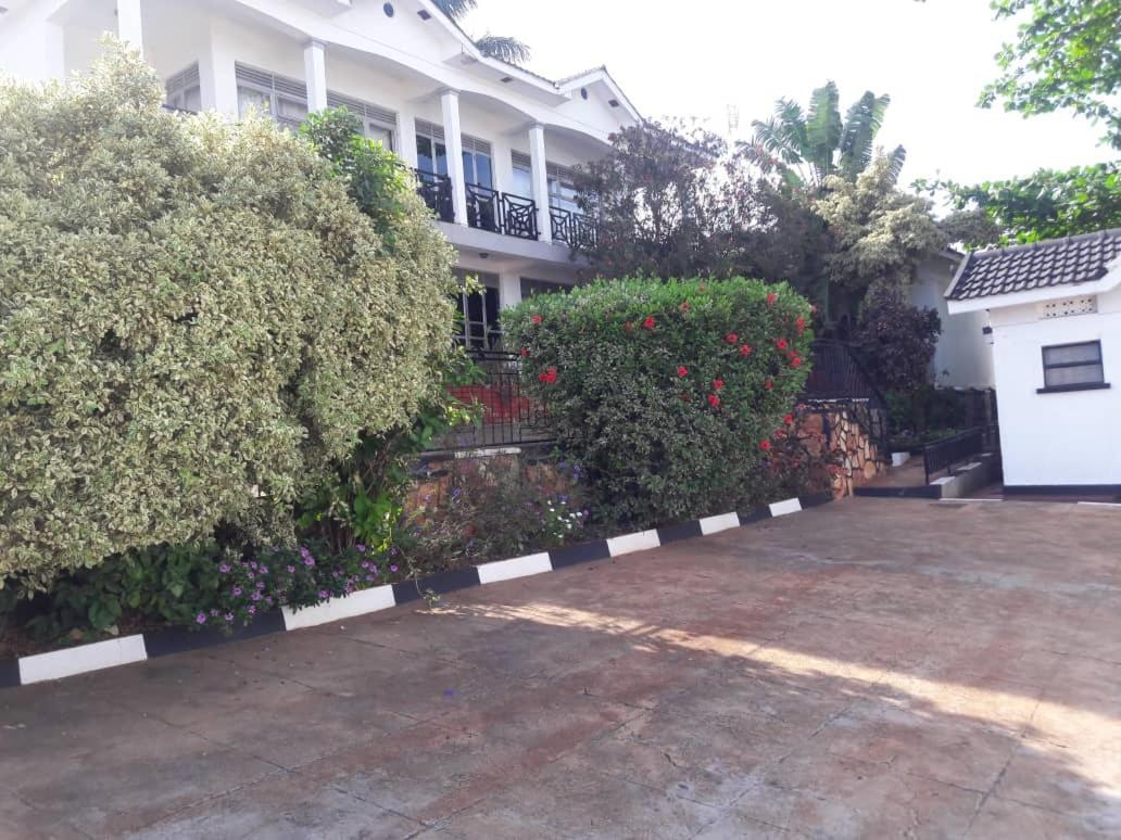Victoria Panorama Hotel 金贾 外观 照片