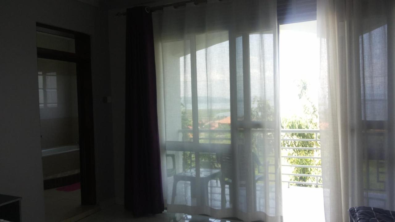 Victoria Panorama Hotel 金贾 外观 照片