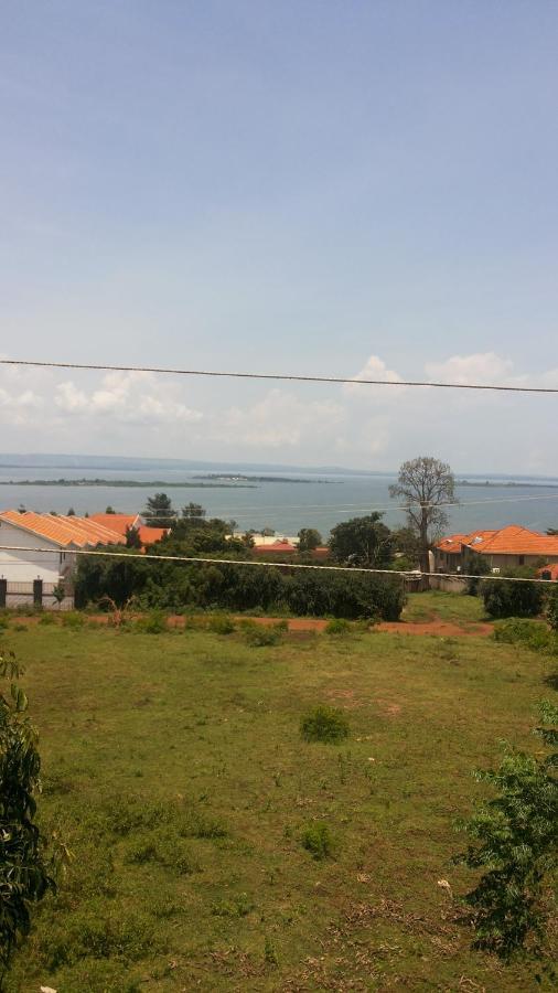 Victoria Panorama Hotel 金贾 外观 照片